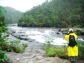 �̂Ԃ����q�l�̐��uyune�����̐��\�������L�v �J���s���[�̑�