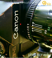 写真撮影ツアー