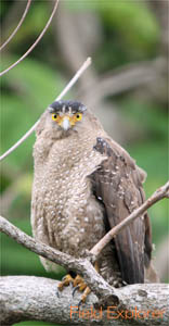 �ʐ^�B�e�c�A�[(�J���������V)