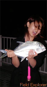 �ނ�E�i�C�g�c�A�[/�����c�A�[�b���\���ނ�c�A�[/�i�C�g�c�A�[ �ނ�